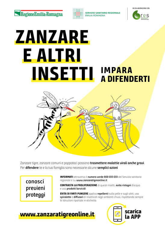 Zanzare e altri insetti, impara a difenderti