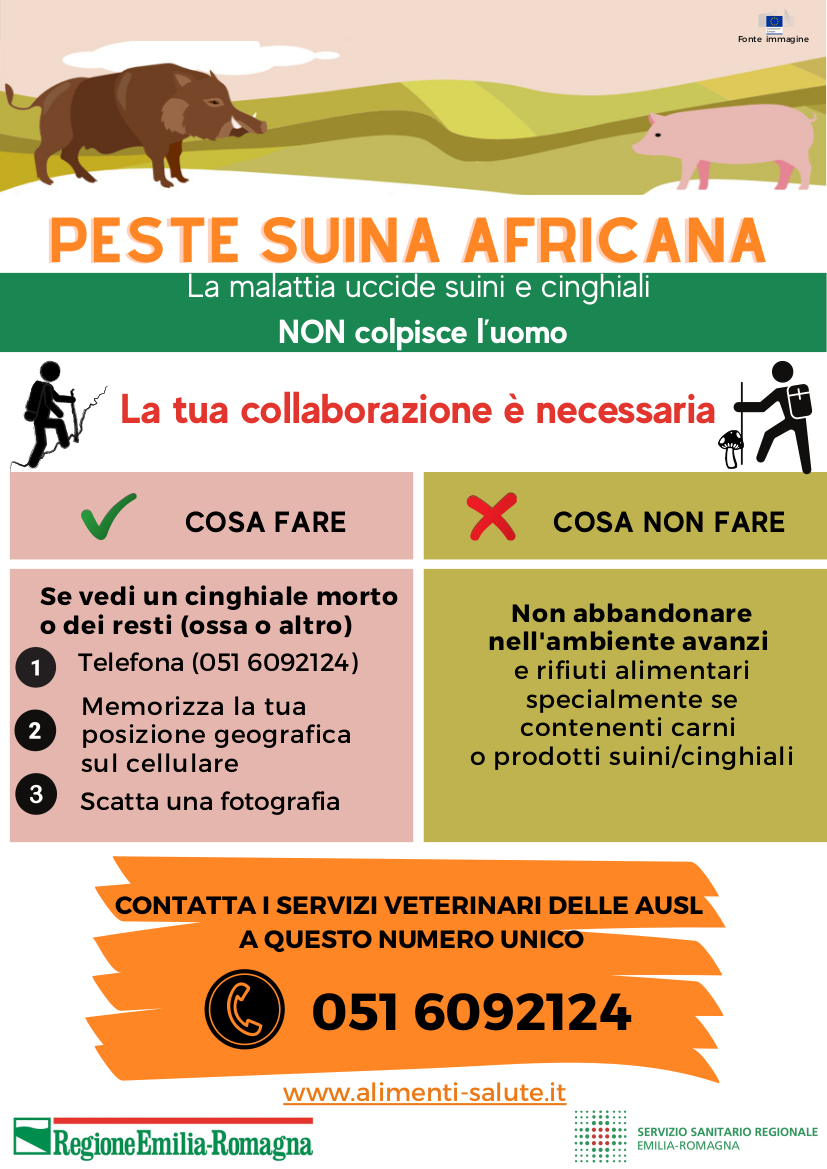 PESTE SUINA: IL VADEMECUM PER GLI ESCURSIONISTI