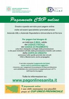 Dal 8 marzo 2011 le prestazioni sanitarie si pagano anche on line su WWW.PAGONLINESANITA.IT