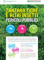 Zanzara tigre e altri insetti: pericoli pubblici. Fondamentale la prevenzione, campagna della Regione Emilia-Romagna