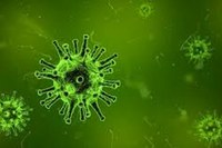 Coronavirus. 115 casi positivi in Emilia-Romagna, 1.224 tamponi refertati. Complessivamente 74 a Piacenza, 18 a Modena, 16 a Parma e 7 a Rimini
