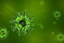 Coronavirus. 115 casi positivi in Emilia-Romagna, 1.224 tamponi refertati. Complessivamente 74 a Piacenza, 18 a Modena, 16 a Parma e 7 a Rimini