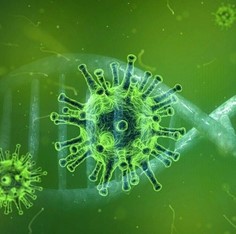 Coronavirus: 14.787 i casi positivi in Emilia-Romagna, 713 in più rispetto a ieri