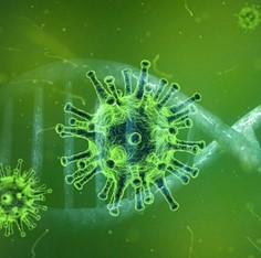 Coronavirus:"Anticipiamo l'avvio della campagna anti-influenzale a ottobre, disponibili 1,2 milioni di dosi, il 20% in più". 