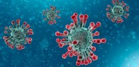 Coronavirus. Completato il primo studio della Regione sulla variante inglese: dei 204 campioni analizzati in Emilia-Romagna il 4 e 5 febbraio sono positivi 57, il 27,9%. 