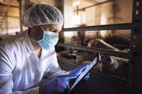 La pandemia non ha fermato le attività veterinarie. I numeri dei controlli di sicurezza alimentare sulla filiera degli alimenti di origine animale