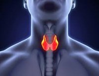  Tumore differenziato della tiroide: specialisti a confronto.  Il convegno della Società Medico Chirurgica di Ferrara   