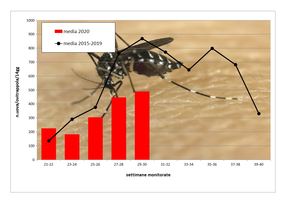 West Nile: aumenta il livello di rischio 